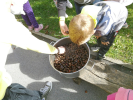 img_20191011_115010