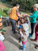 TM-pohod-v-Rovinje-in-stiskanje-grozdja-16