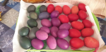 resized_20210402_161644