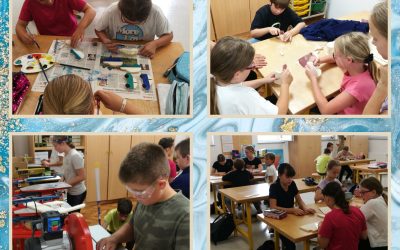 TD – izdelki za Šentjanško tržnico