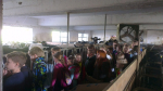 kmetija-majcen-9